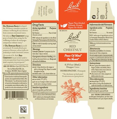 Red Chestnut.jpg Bach Original Flower Remedies Red Chestnut - Red Chestnut
